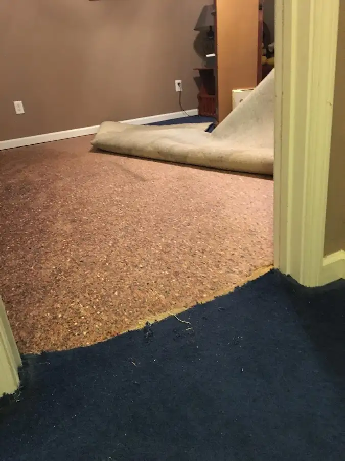 Carpet pad removal revealing water damage during Drying & Dehumidification in Candlewick Lake