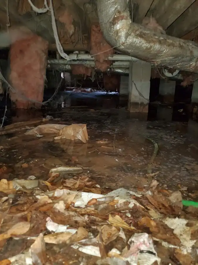 Crawl space flood assessment for Commercial Water Damage Restoration in Candlewick Lake